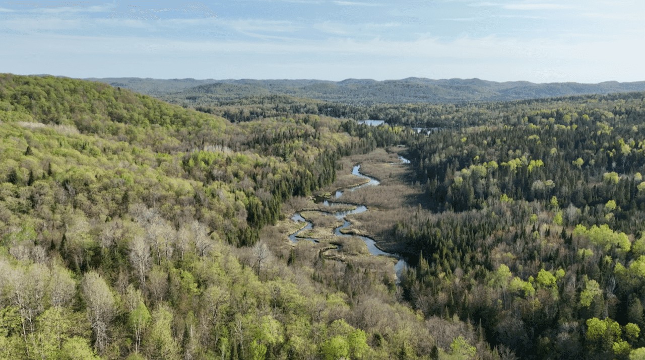 Marché immobilier à Lac-Boulé