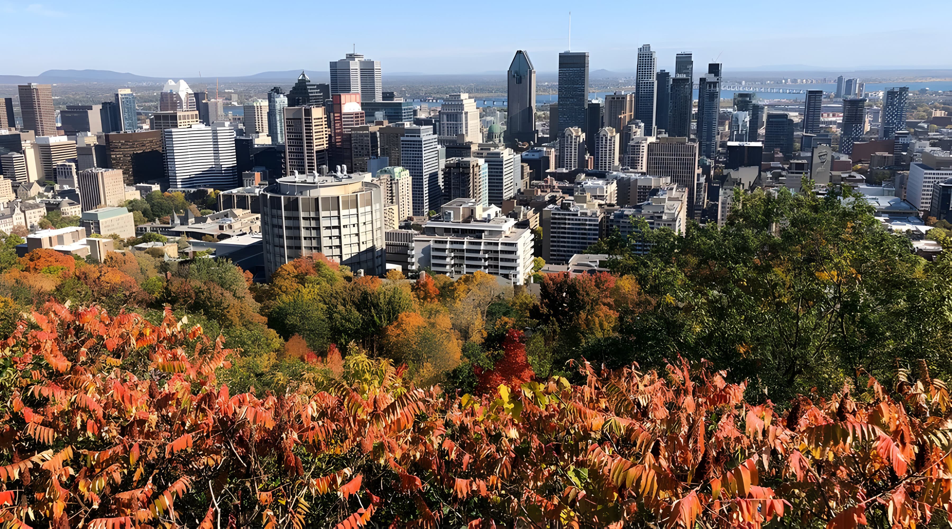 Marché immobilier Mont-Royal