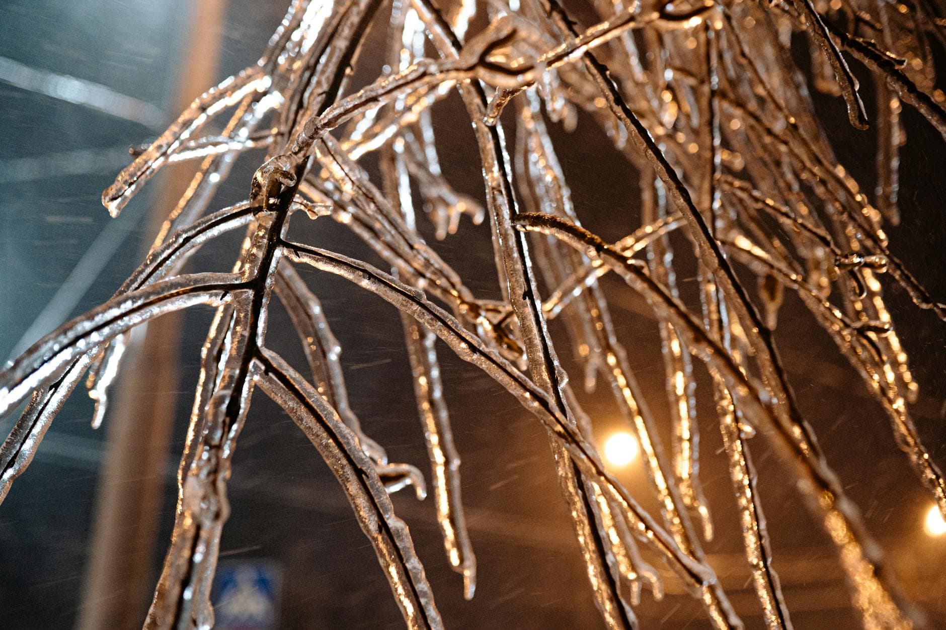 Élagage préventif verglas et neige