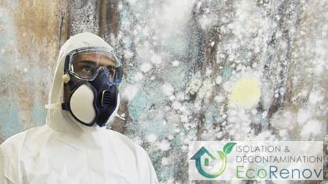 EcoRenov | Asbestos Removal, Mold Remediation & Attic Insulation — Laval