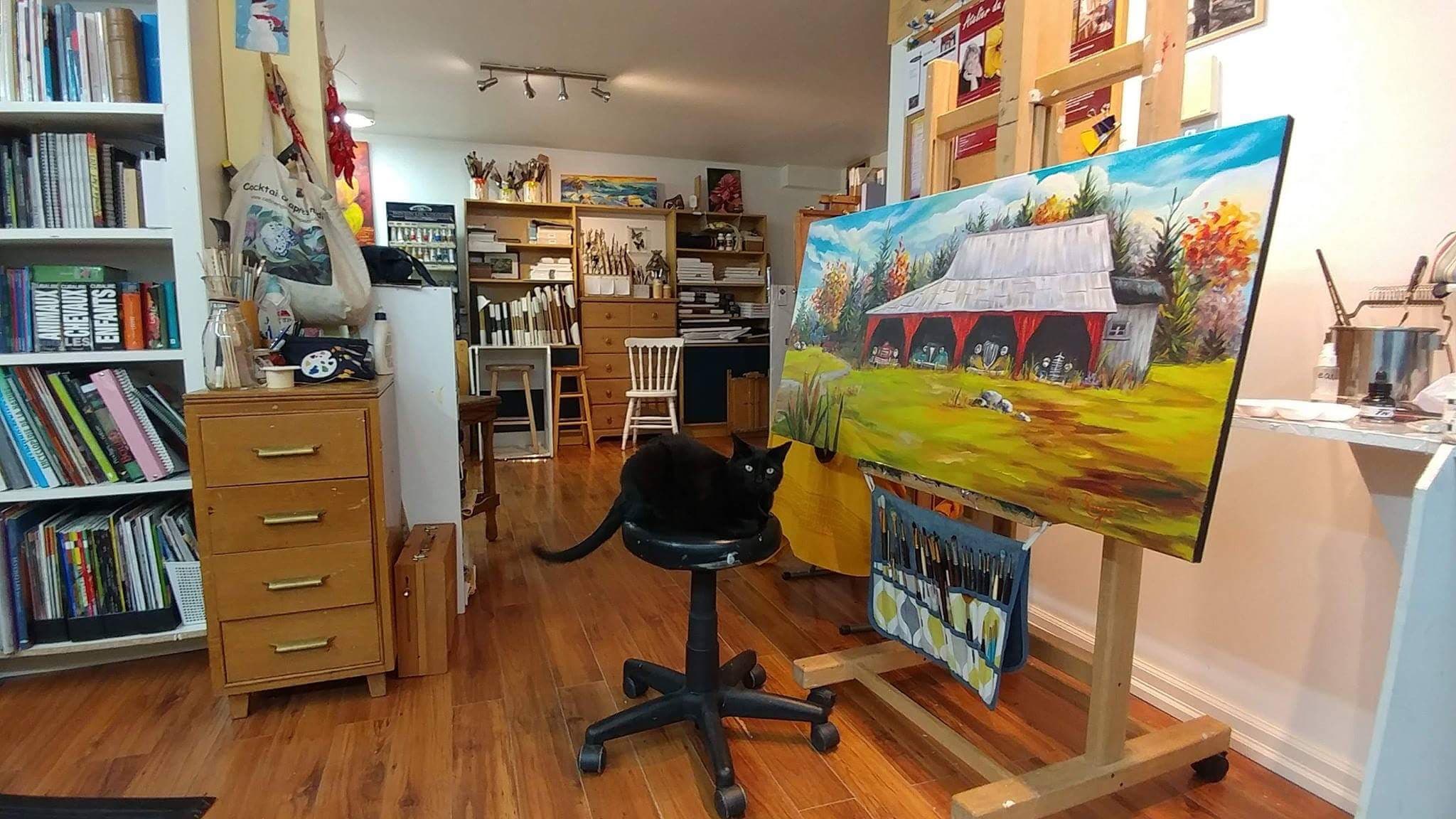 Céline Roger TV — Sherbrooke