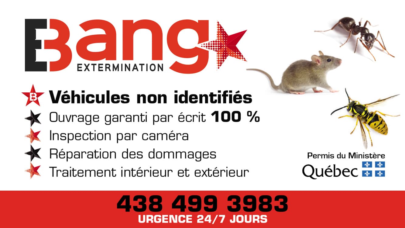 Bang Extermination | Exterminateur Rive-Sud | Urgence 24h — Rive-Sud (Montréal)