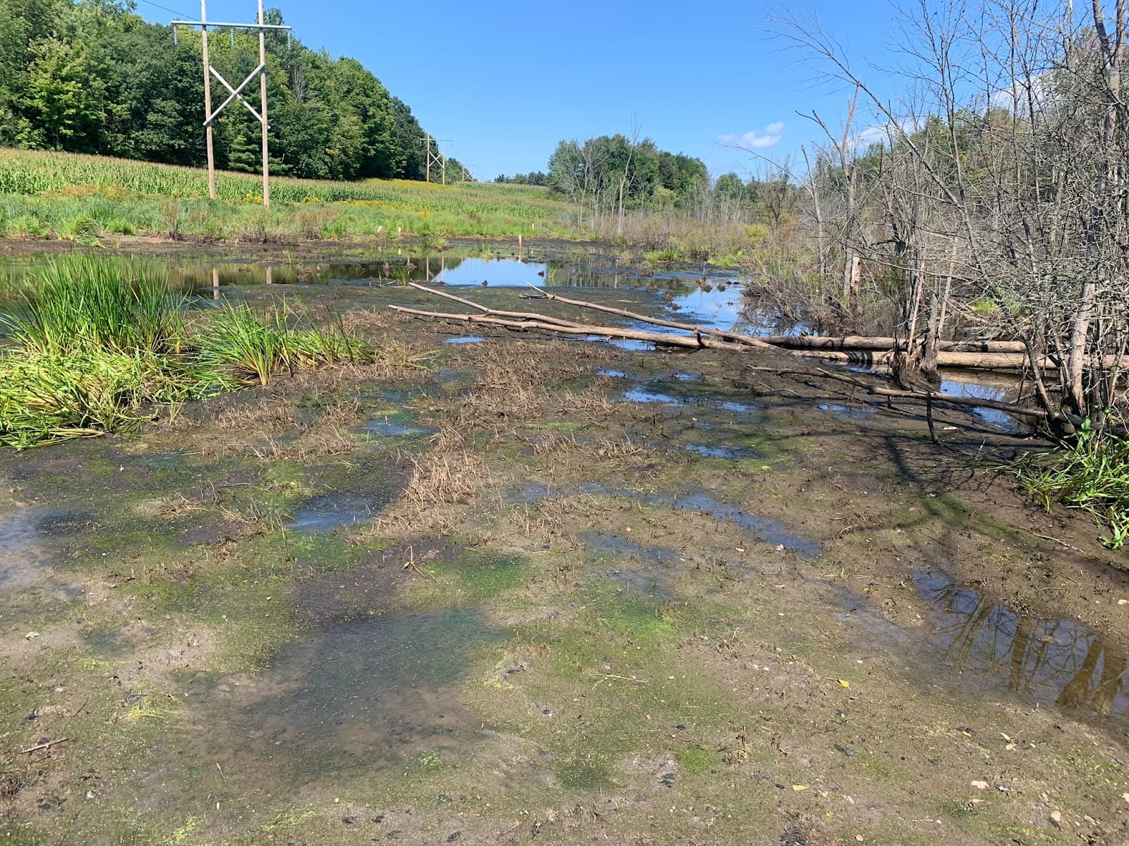 Pro Faune — Blainville