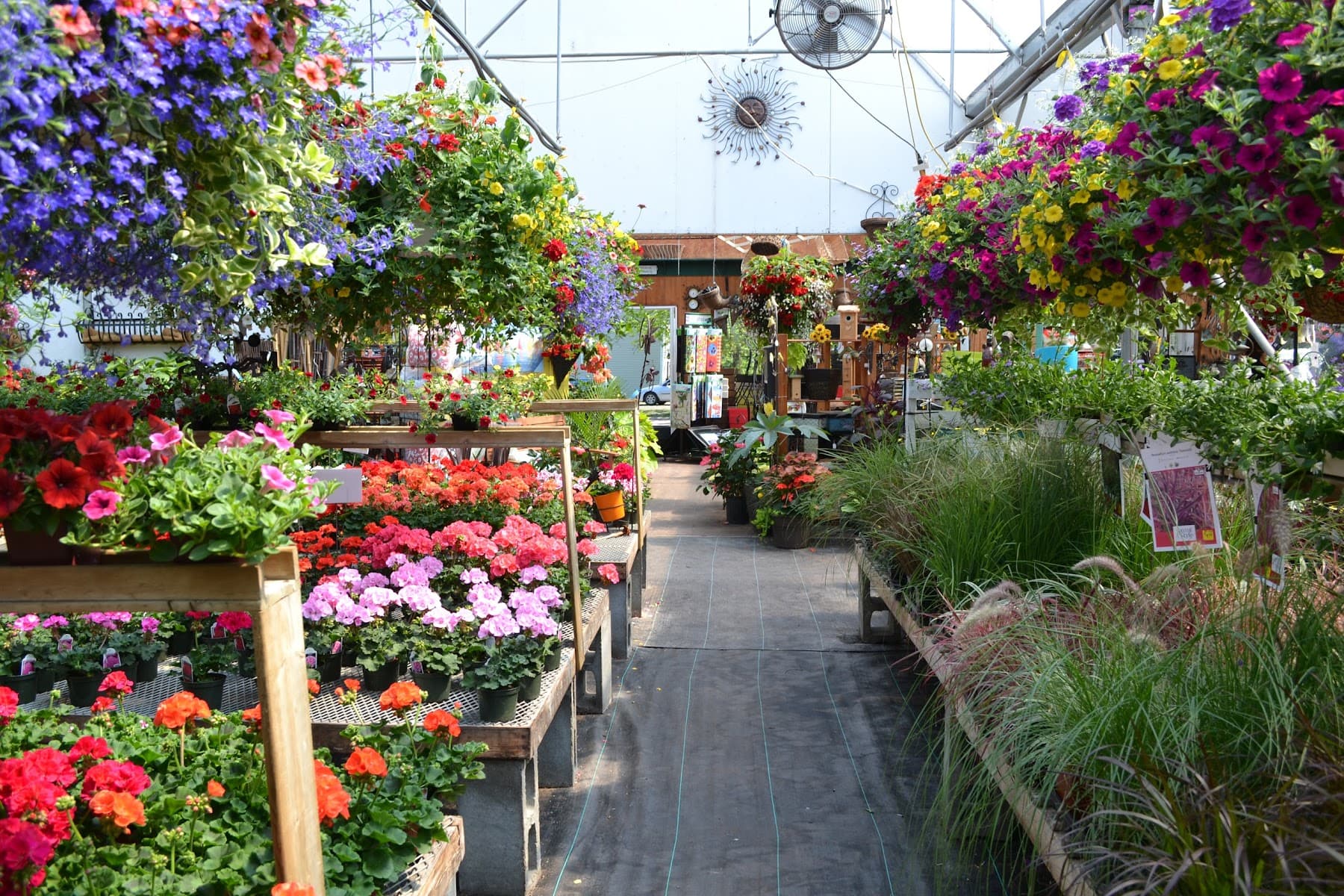 Fleuri-Cap | serres - centre jardin — Chaudière-Appalaches