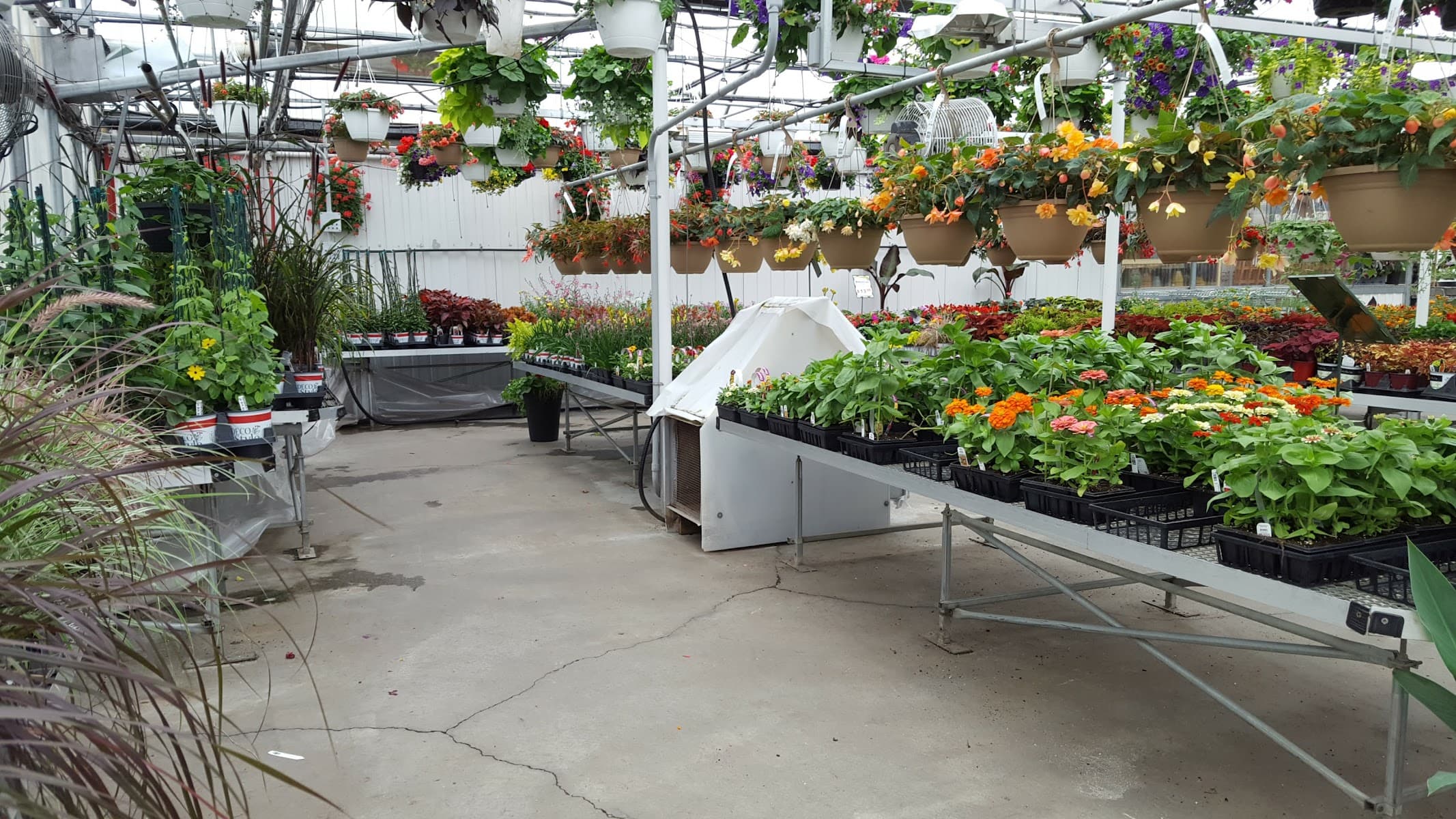 Jardinière du Nord — Lanaudière