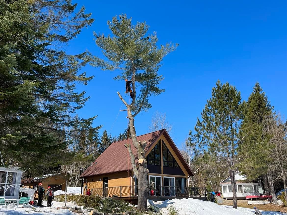 Émondage RB — Mauricie