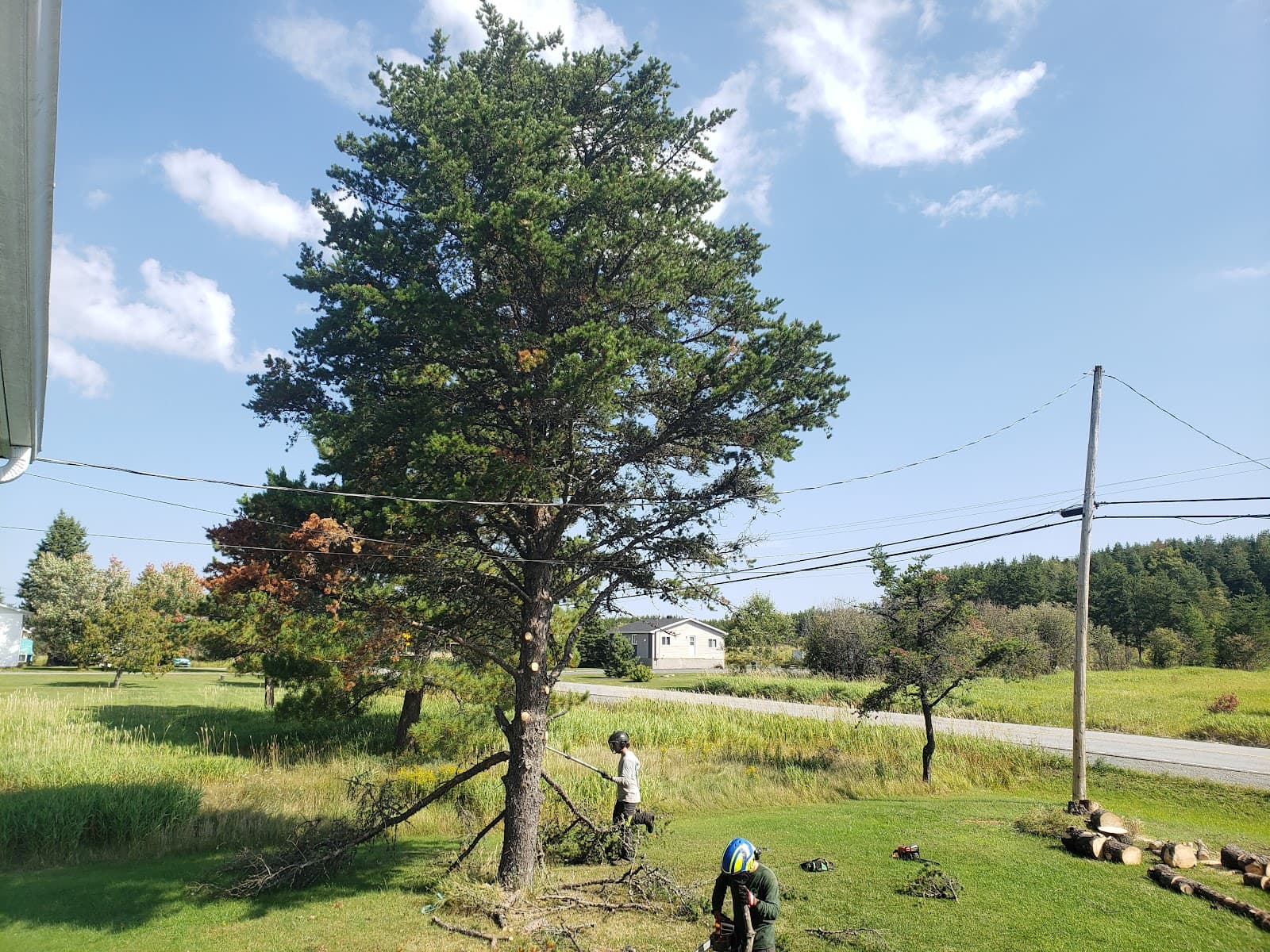 Émondage O?Connor — arboriculteur à Rouyn-Noranda