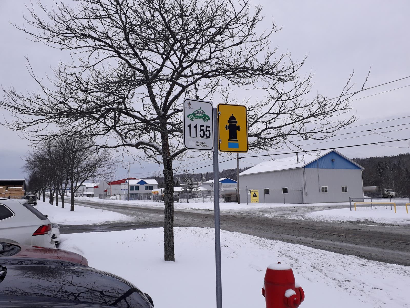 Boa Franc — Beauce