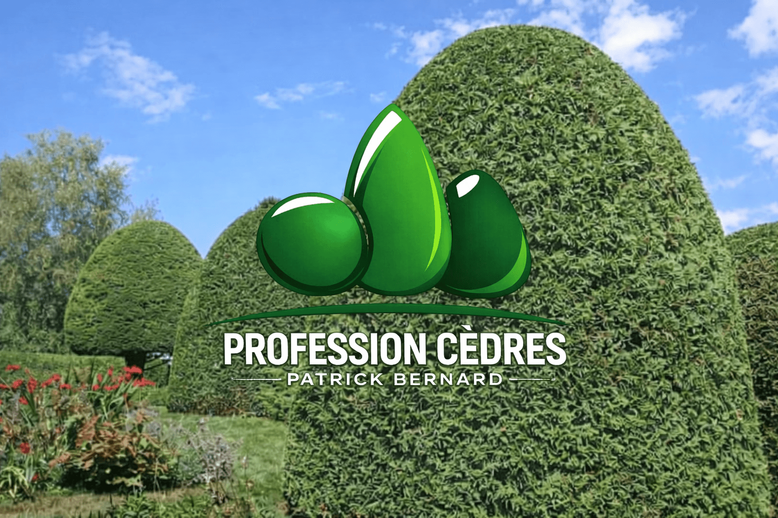 Profession Cèdres – Patrick Bernard (Taille de haies Estrie)
