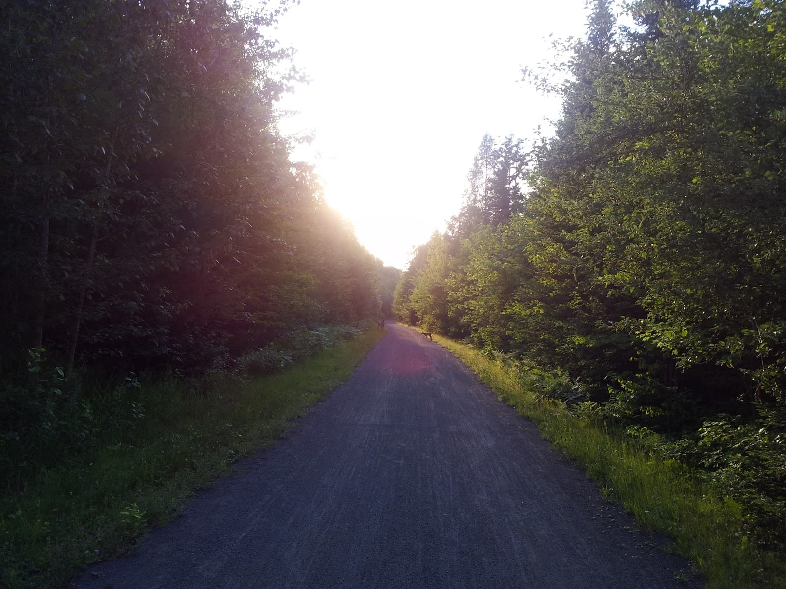 Plomberie J-P Fulker — Laurentides