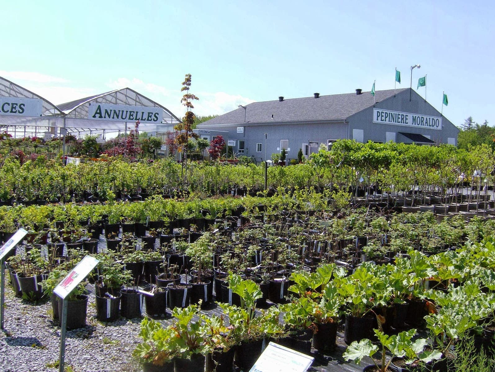 Jardinerie Pépinière Moraldo et fils inc. St-Augustin — Couronne de Québec