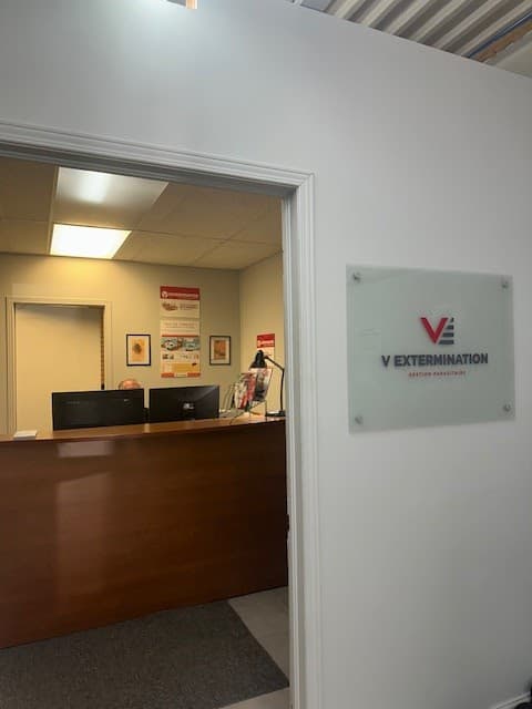 VEXT - Exterminateur Victoriaville — Victoriaville