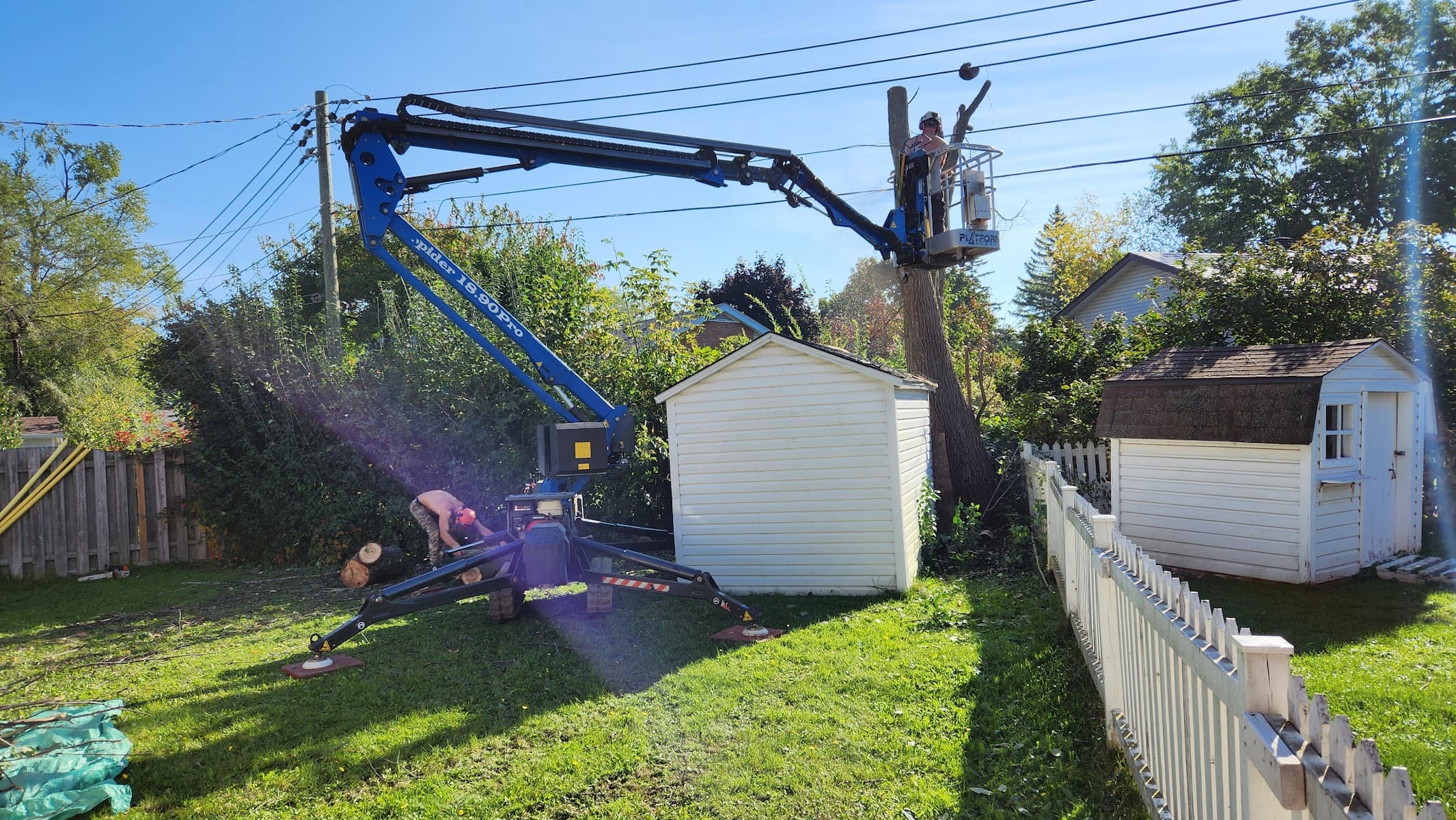 TAS Tree Removal & Pruning — arboriculteur dans Vaudreuil-Soulanges