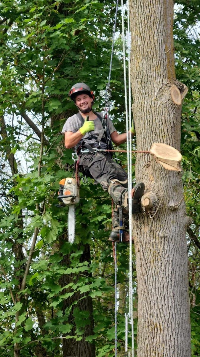 Arboriculture Montérégie - Arborist , Tree Removal — arboriculteur en Montérégie