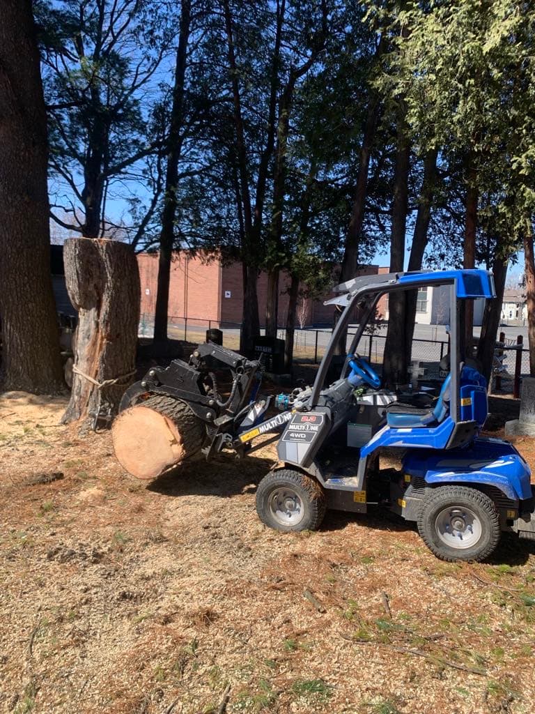 Arbor élagage MG inc Drummondville — arboriculteur à Drummondville