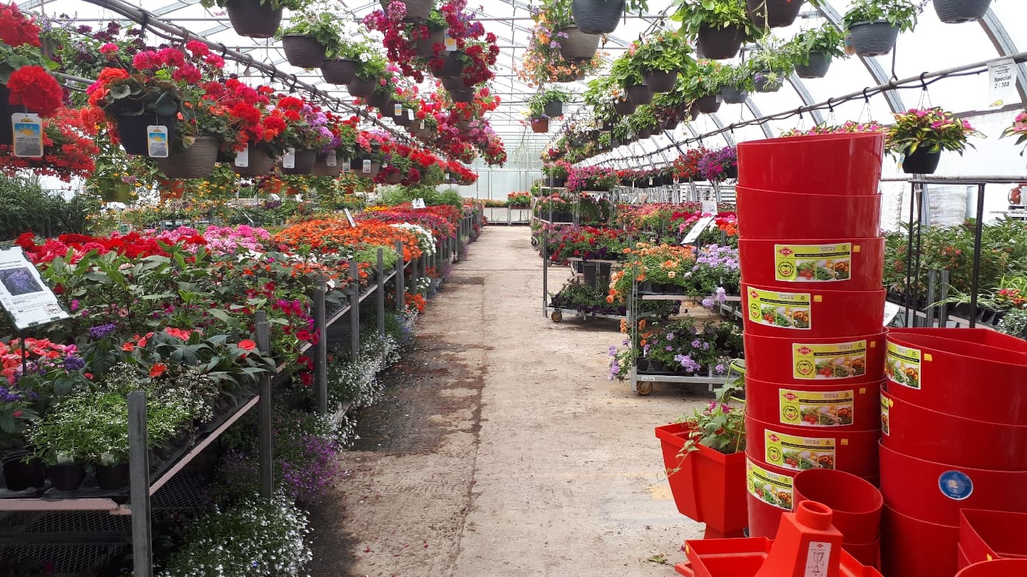 Jardinerie Chez BEN Garden Center & Les Serres Chlorophylle Inc. (Les Cèdres, QC). — Vaudreuil-Soulanges