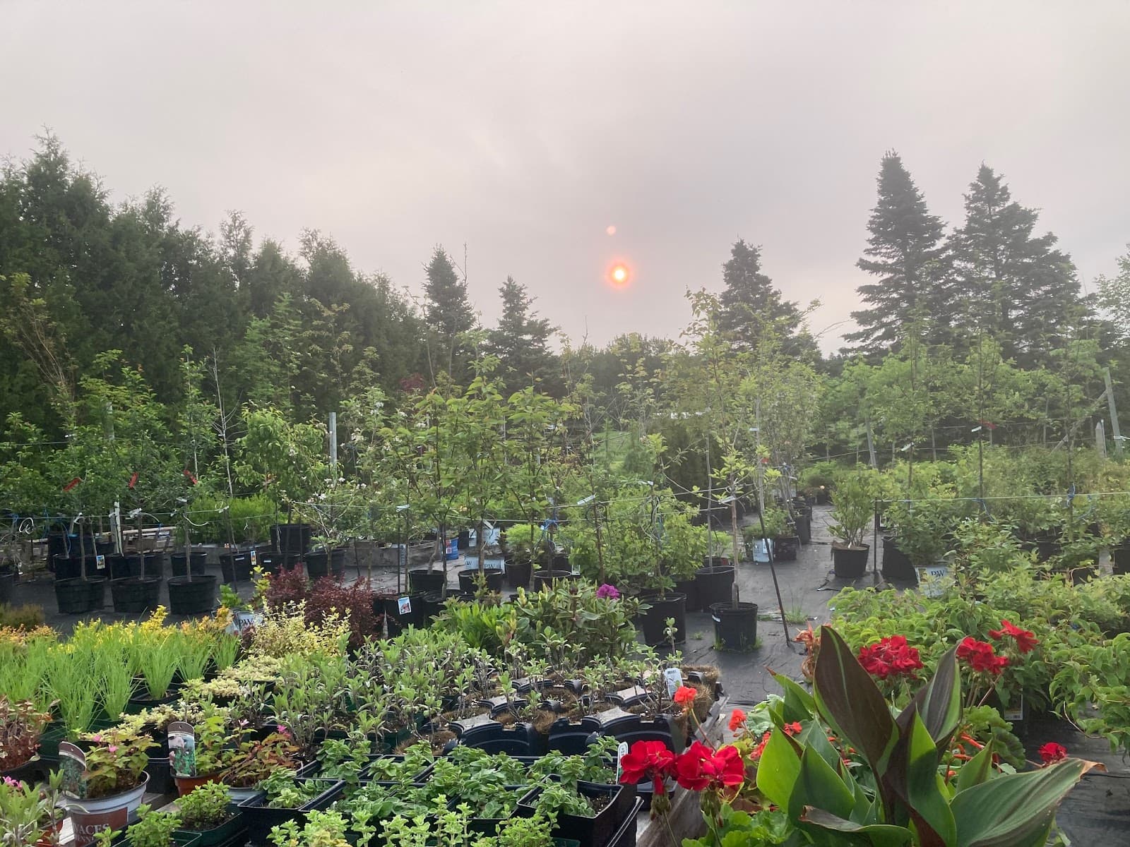 De Jardins en Saisons — architecte en Gaspésie
