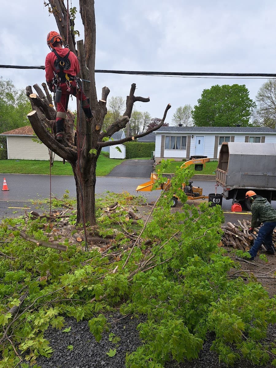Arboripro Inc. — Portneuf
