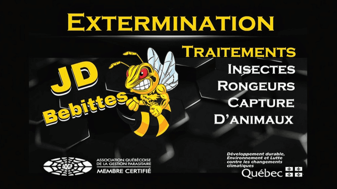Extermination JD Bebittes 🐝 — exterminateur dans Lanaudière