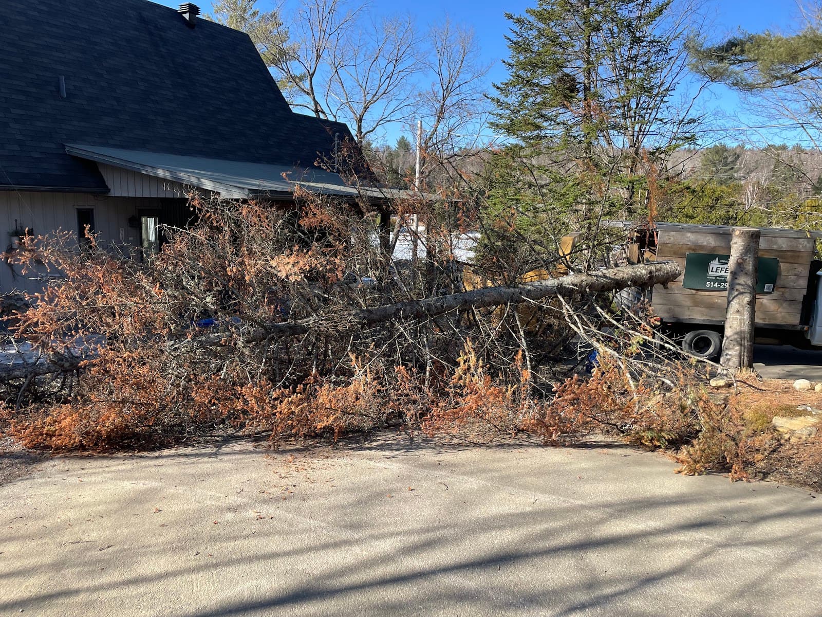 Services d'arbres Lefebvre - Élagueur, Abattage, Déboisement — Lanaudière