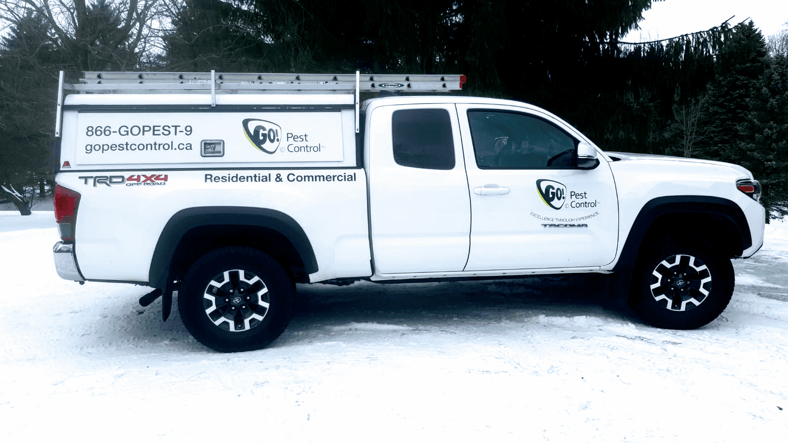 GO Pest Control — Gatineau