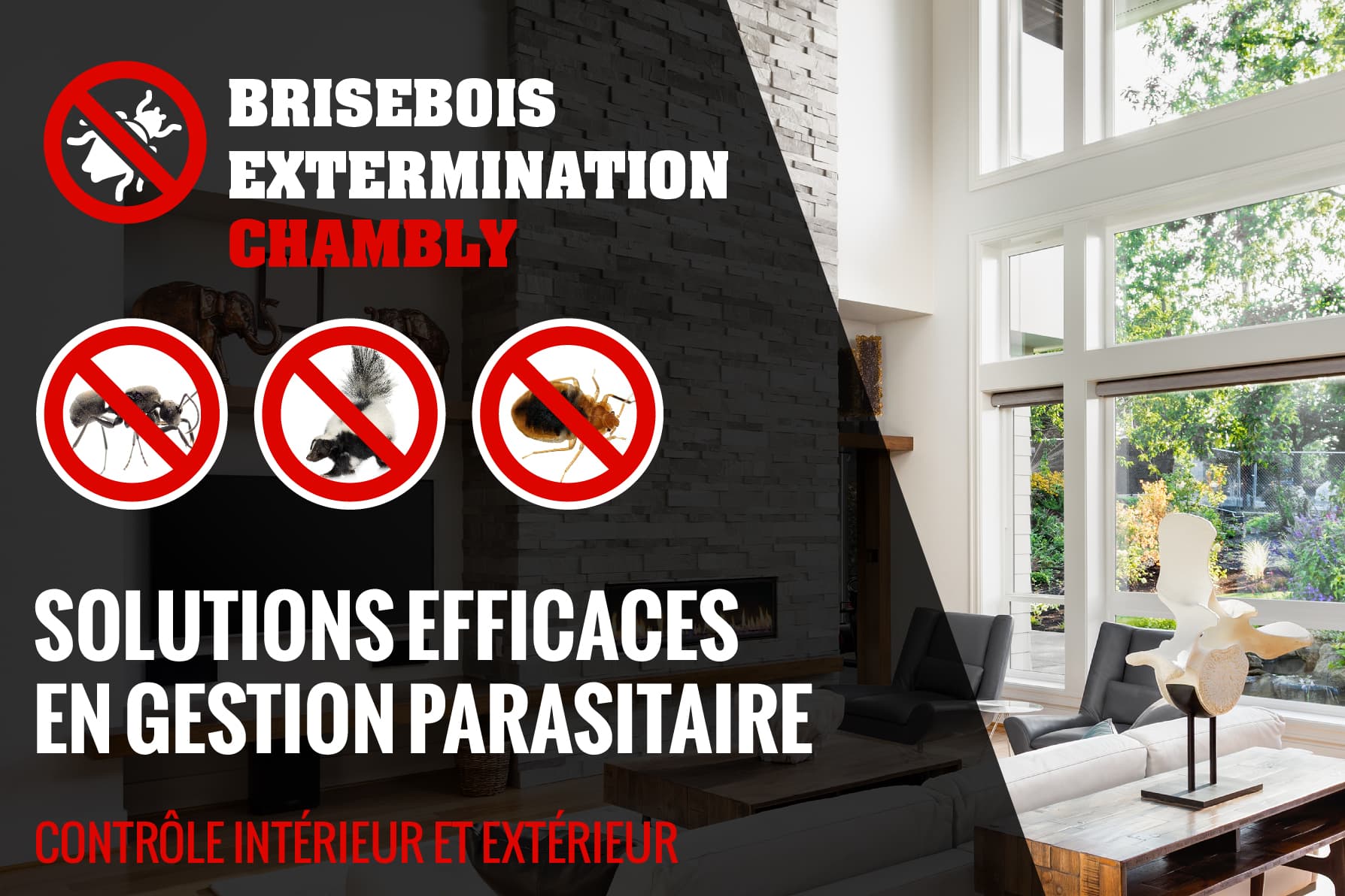 Brisebois Extermination Carignan — exterminateur sur la Rive-Sud (Montréal)
