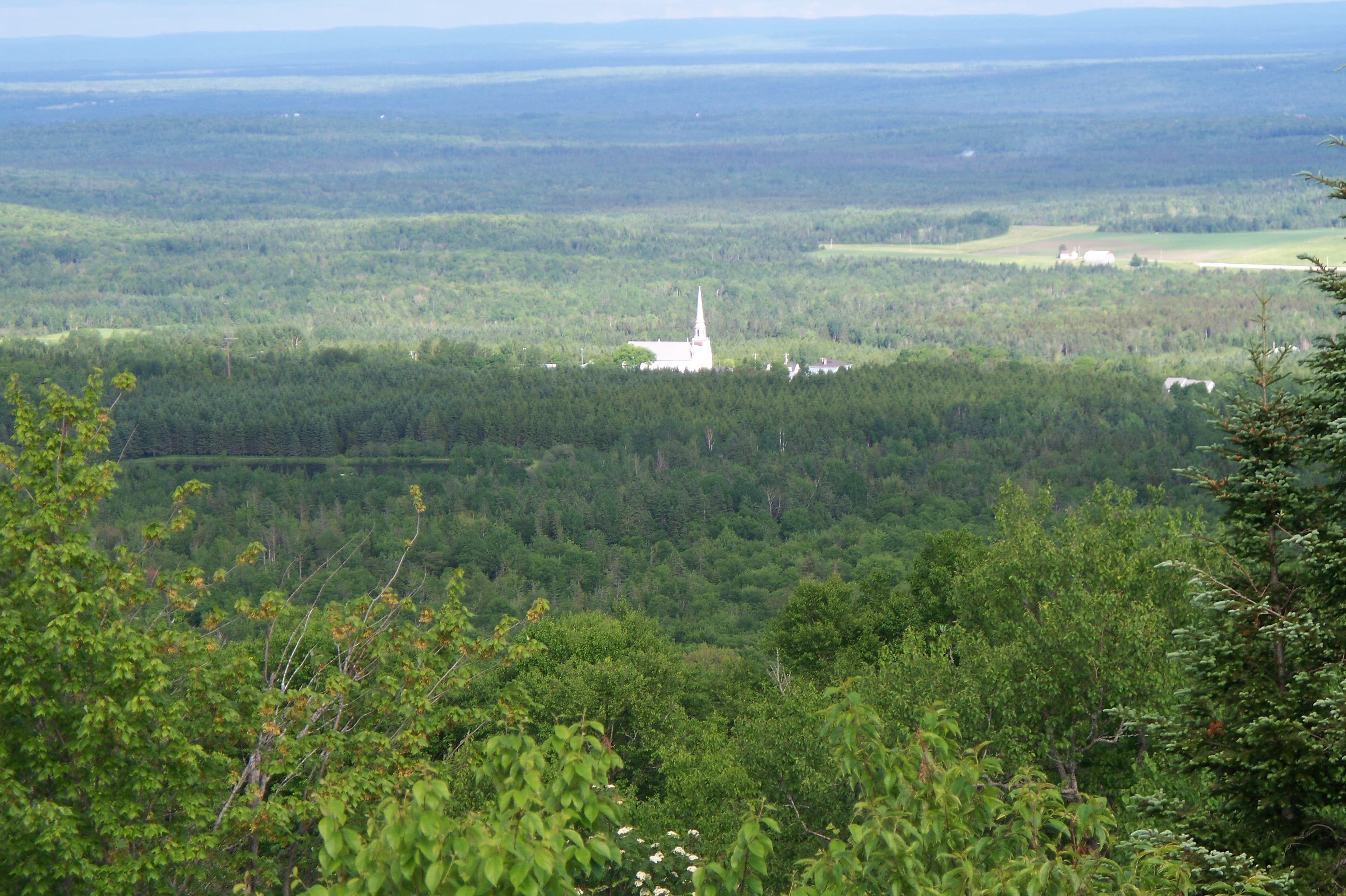 Marché immobilier Sainte-Sabine
