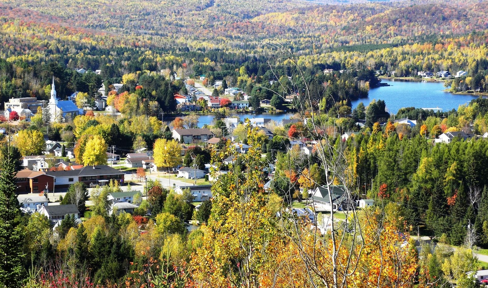Marché immobilier à Saint-Alexis-des-Monts