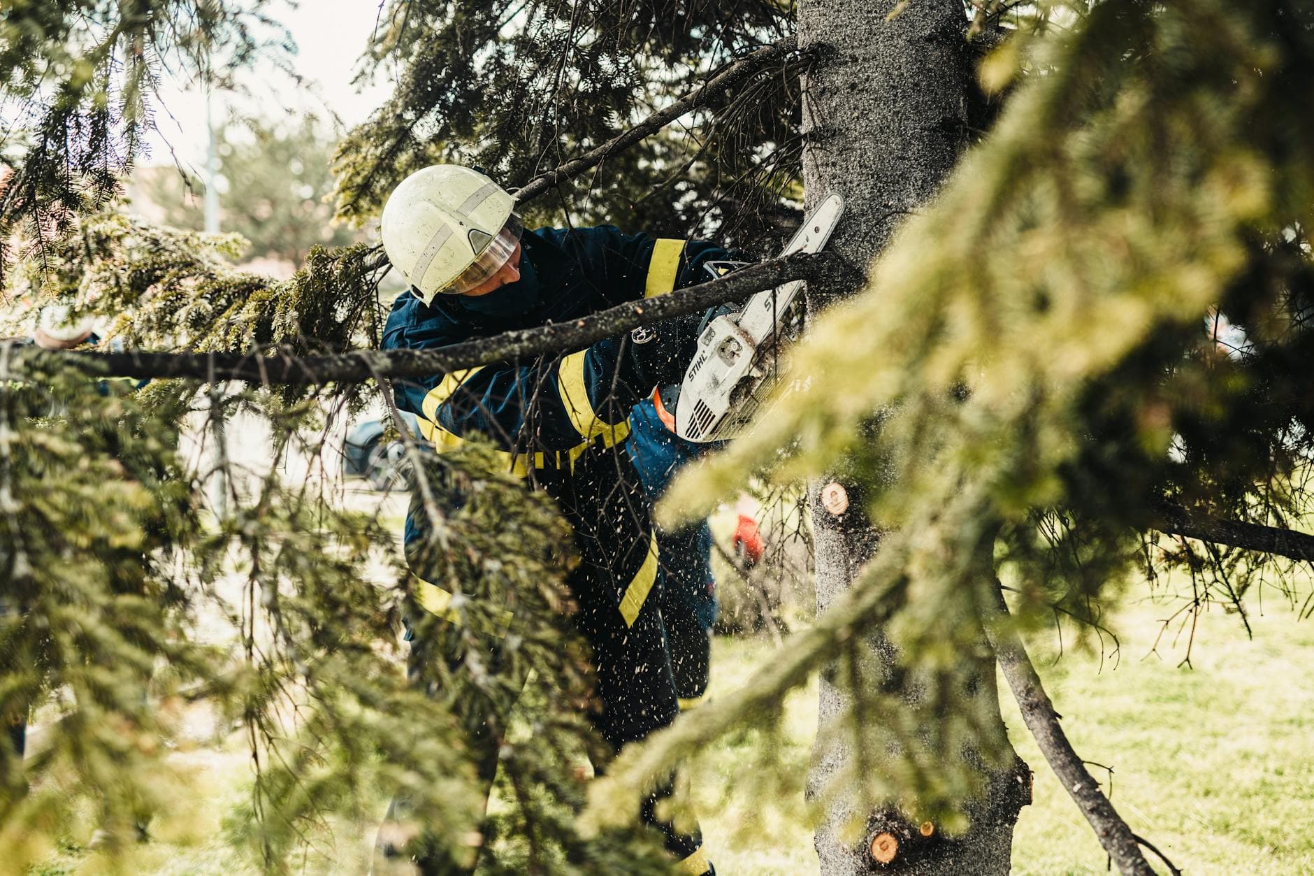Arboriculteur