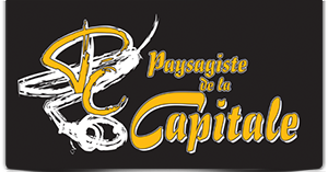 Paysagiste de la capitale
