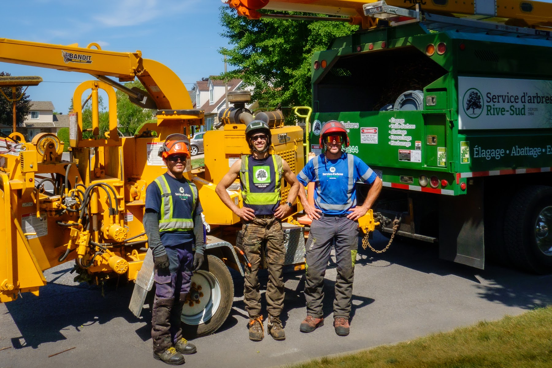 Arbres Rive-Sud — Arboriculteur à Saint-Bruno-de-Montarville