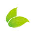 Irrigation Lemieux