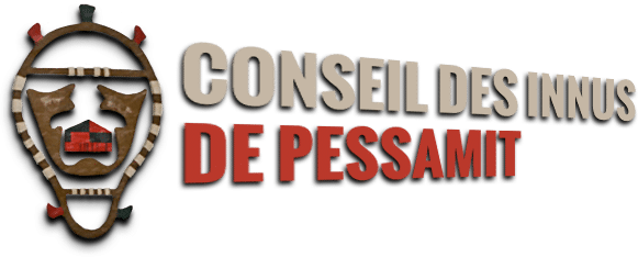 Centre de Santé et Services Sociaux de Pessamit