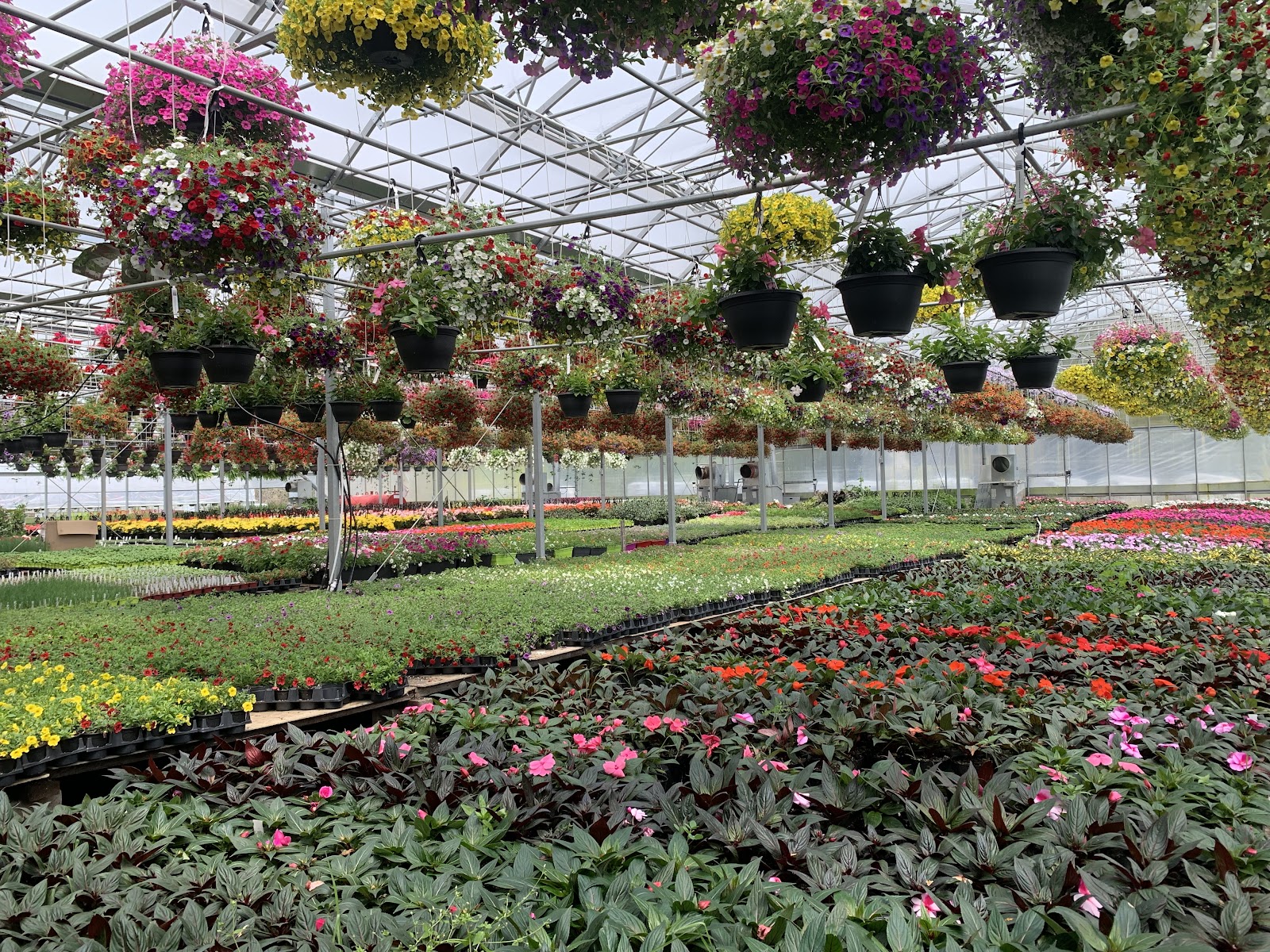 Le Jardin d’Augustin — Aménagement paysager à Mirabel