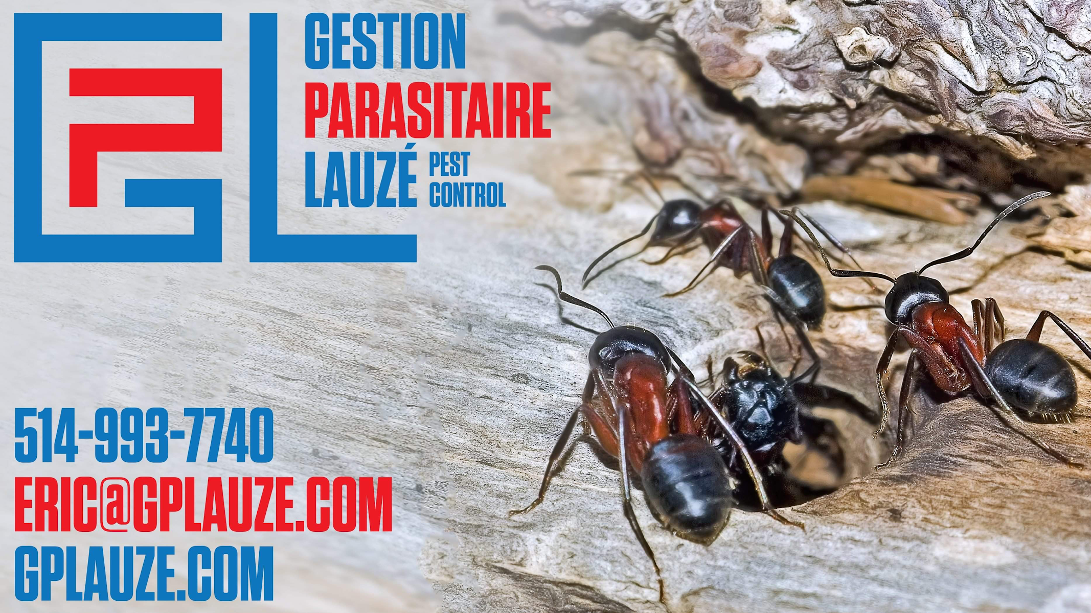 Gestion Parasitaire Lauzé — Exterminateur à Mirabel