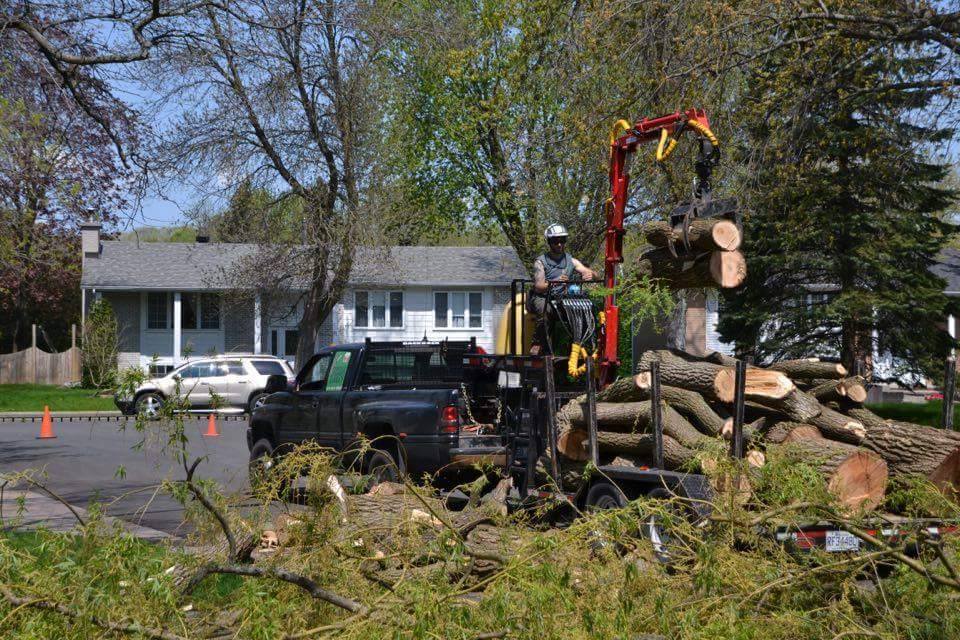 Entreprise E Campeau inc. — Arboriculteur à Lachute
