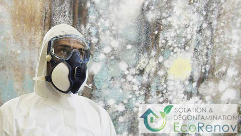 EcoRenov | Asbestos Removal, Mold Remediation & Attic Insulation — Spécialiste en isolation à Terrebonne