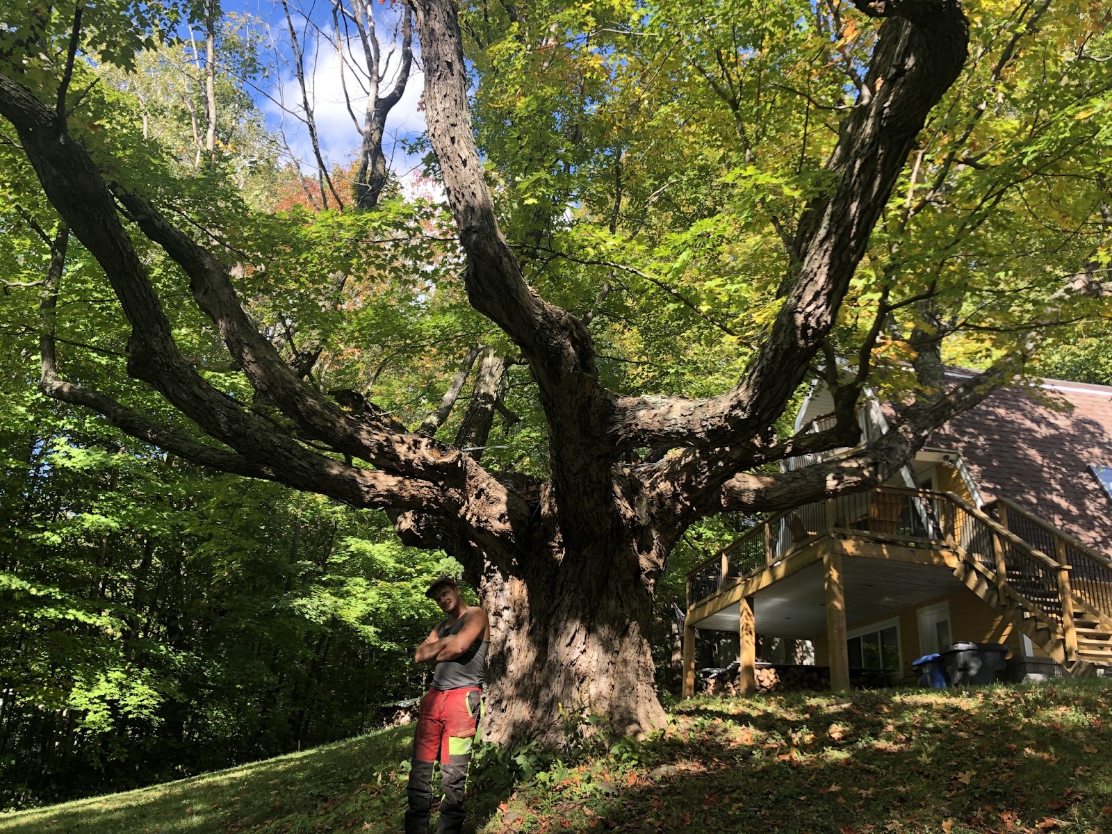 L'homme de l'émondage — Arboriculteur à Bromont