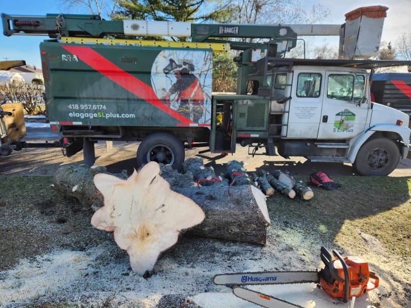 Élagage SL Plus inc — Arboriculteur à Québec