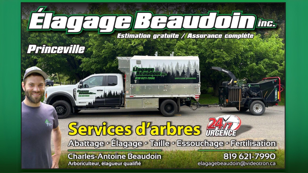 Élagage Beaudoin | Élagage et Entretiens d'Arbres | Déneigement à Princeville — Arboriculteur à Princeville