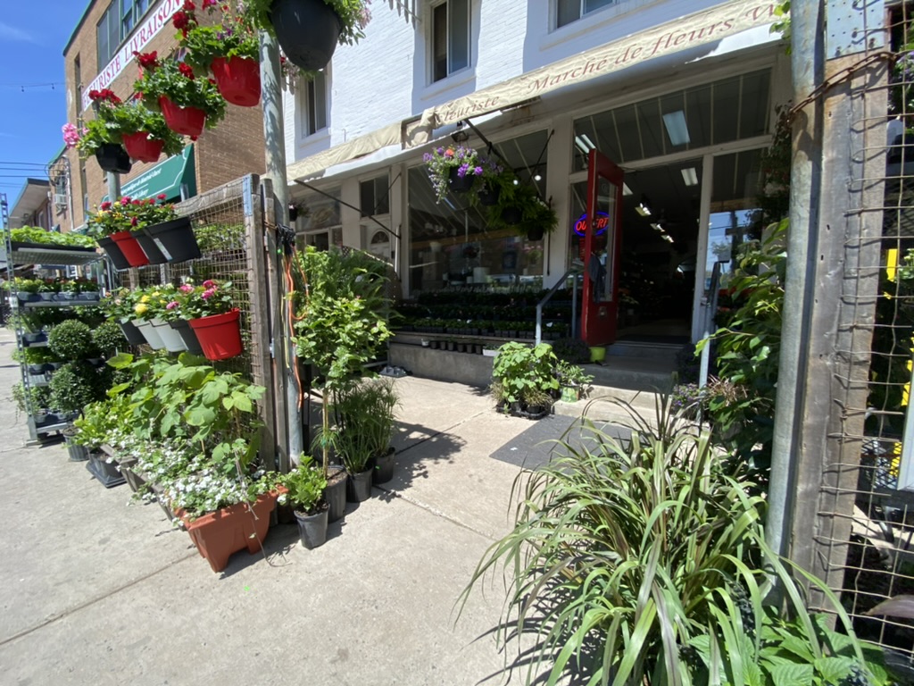 Marche De Fleurs Westminster Inc. — Aménagement paysager à Montréal-Ouest
