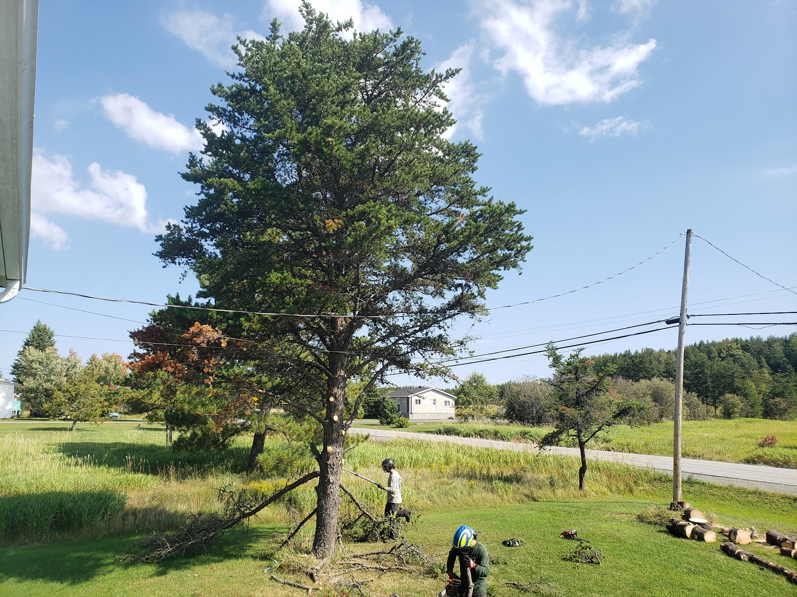 Émondage O?Connor — Arboriculteur à Rouyn-Noranda