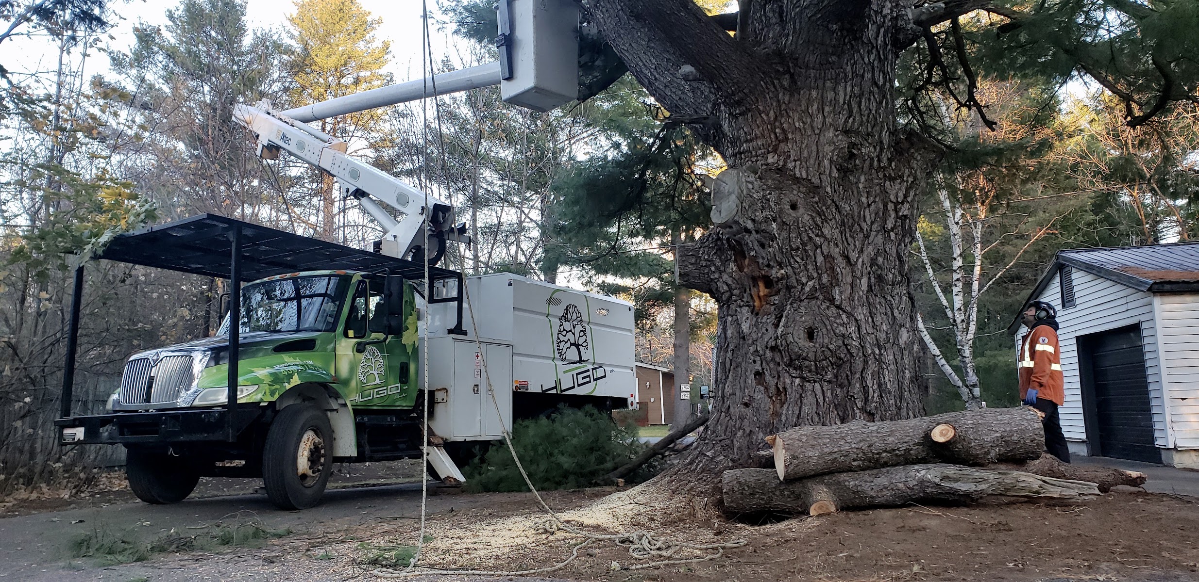 Services D'Arbres Hugo Inc — Arboriculteur à Mascouche