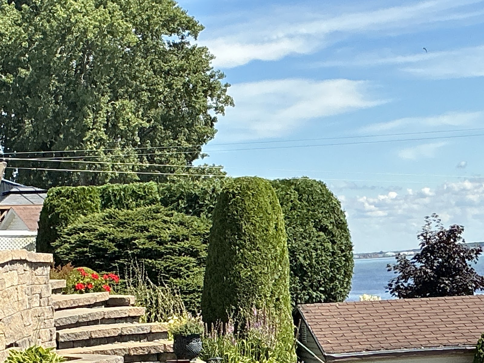 Émondage GKM — Arboriculteur à Saint-Narcisse
