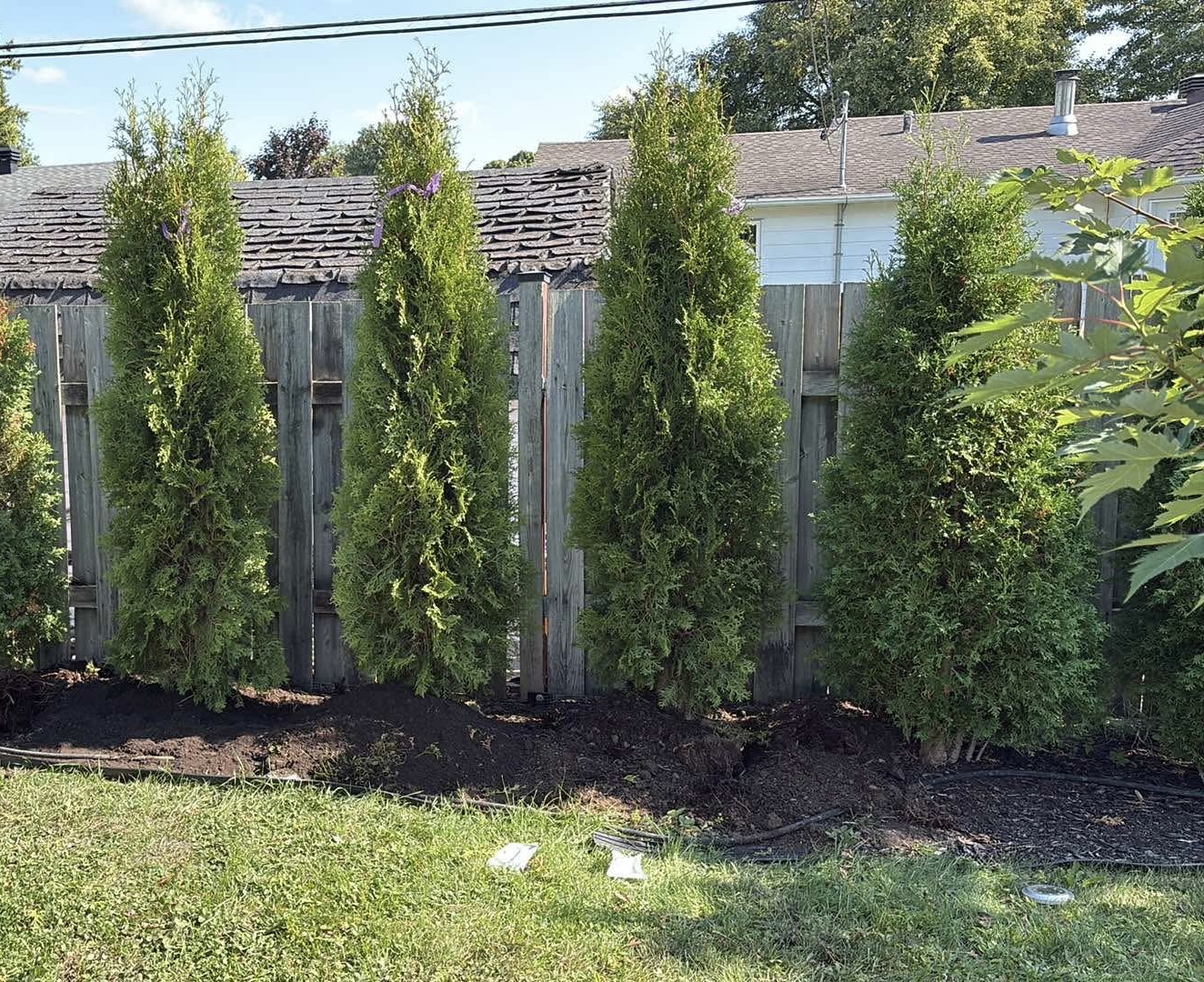 PURcèdres — Arboriculteur à Vaudreuil-Dorion