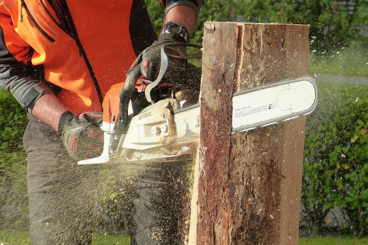 Émondage Évolution Inc - Abattage et Élagage — Arboriculteur à Saint-Hippolyte