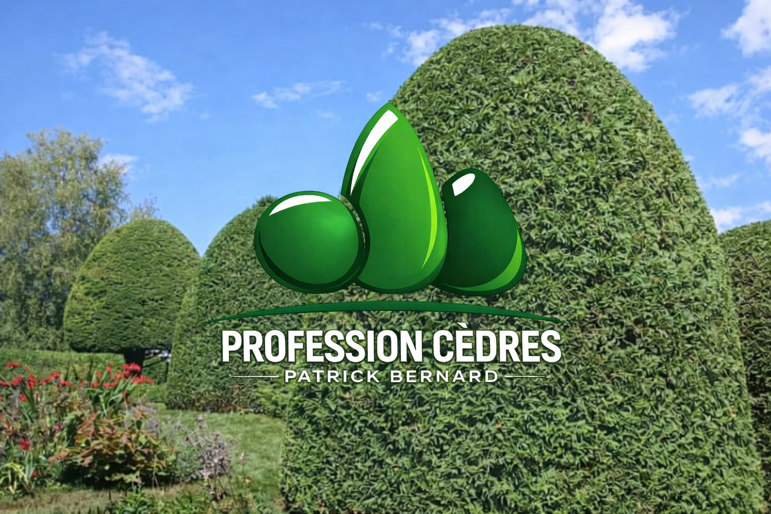 Profession Cèdres – Patrick Bernard (Taille de haies Estrie) — Arboriculteur à Sherbrooke