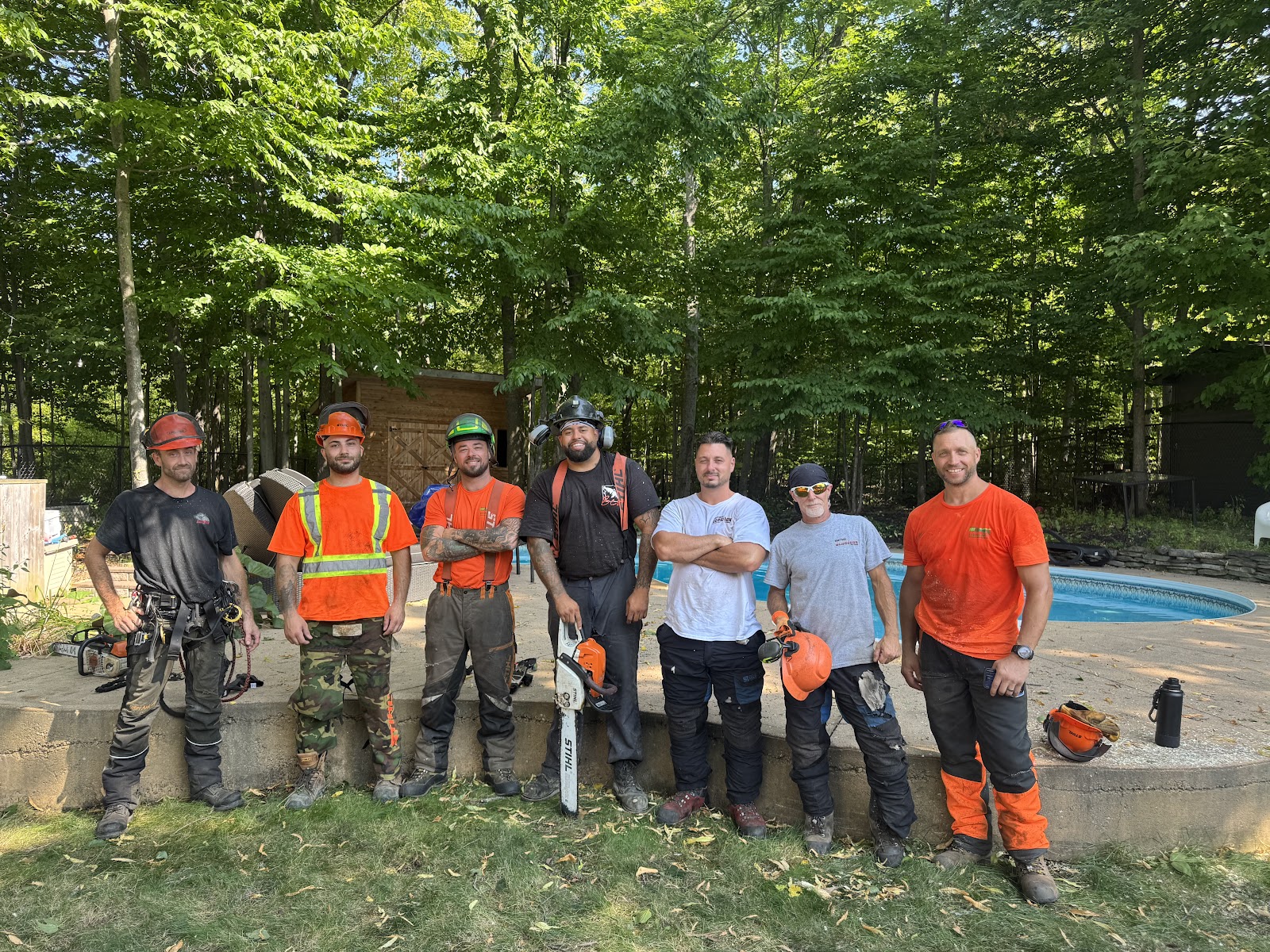 Abattage Bio-Mec — Arboriculteur à Cantley