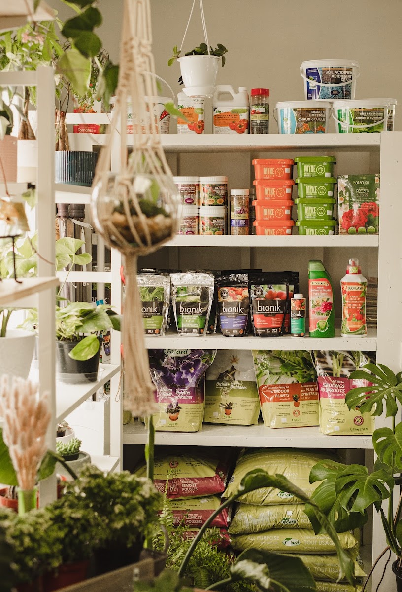 Fleurexcel Inc — Aménagement paysager à Farnham