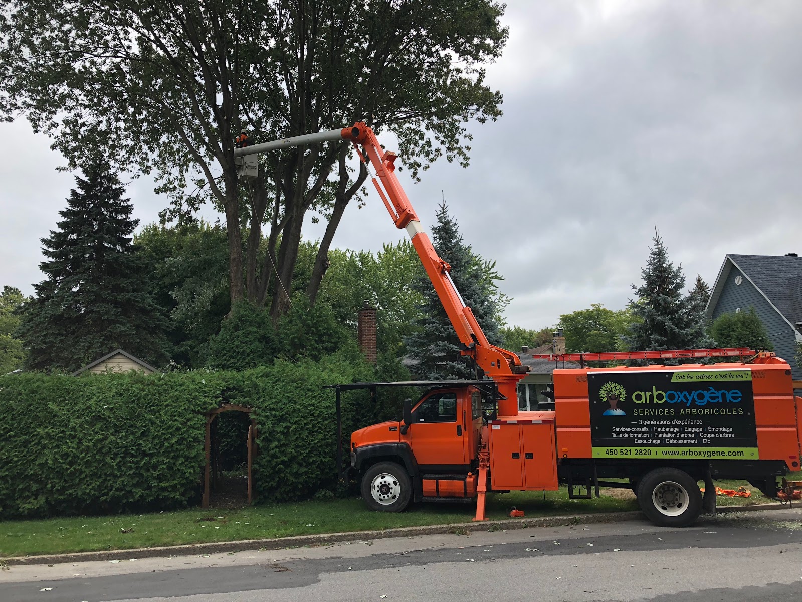 Arboxygène — Arboriculteur à Shefford